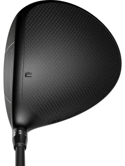 Cobra DS-Adapt X Driver