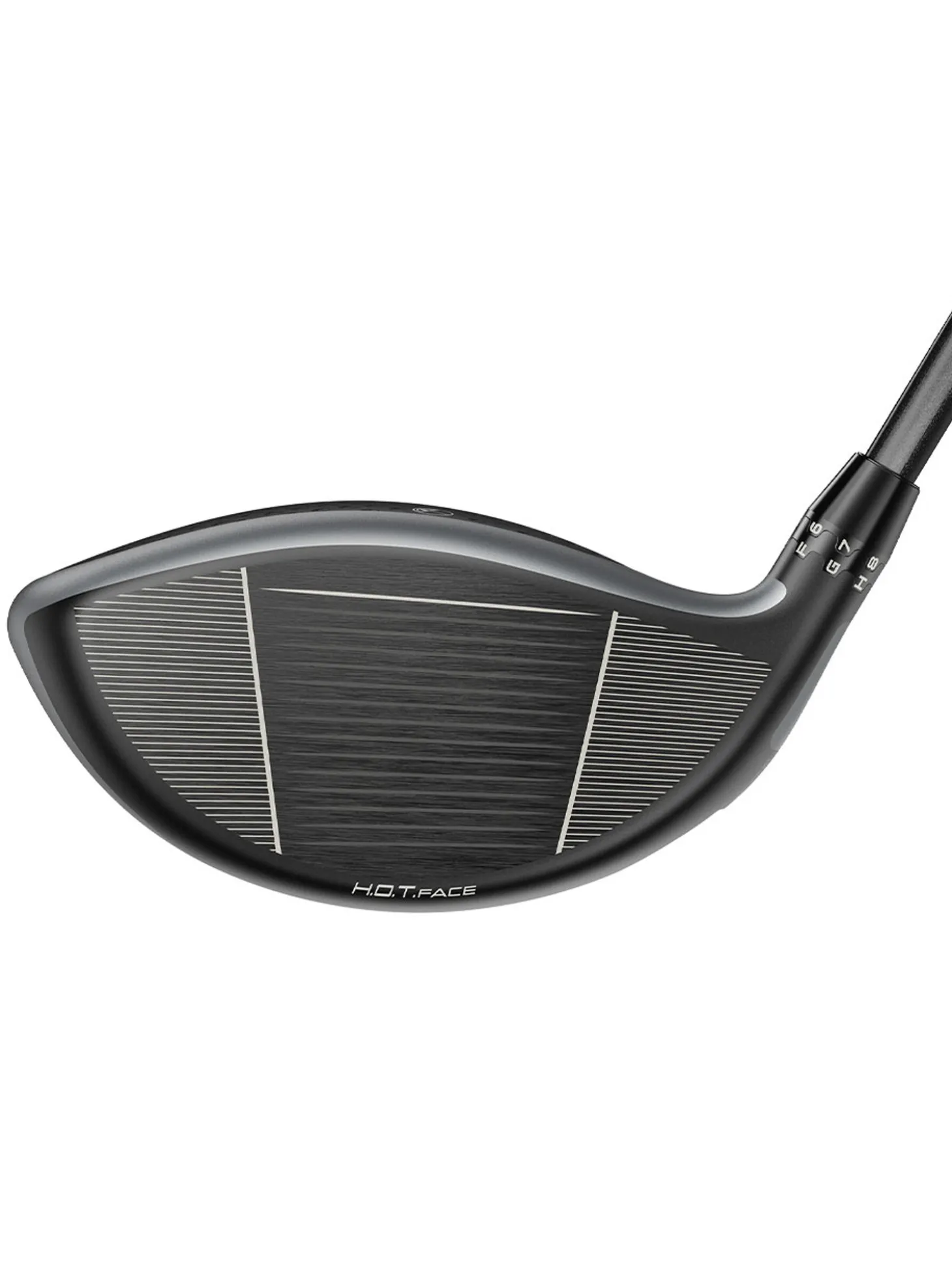 Cobra DS-Adapt X Driver - Arnold Palmer Invitational