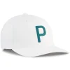 Puma Heritage P Cap - Alpine Snow/Green Terrain